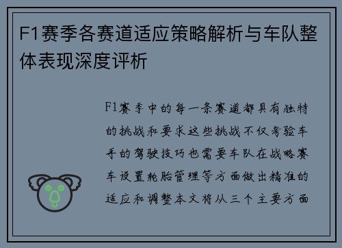 F1赛季各赛道适应策略解析与车队整体表现深度评析
